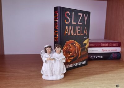 RECENZIA: Darina Hamarová – Slzy anjela