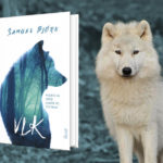 Severské krimi Vlk od populárneho Samuela Bjorka: Pozrite sa lepšie. Uvidíte to, čo vrah!