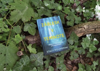 RECENZIA: Stacy Willingham – Záblesk v temnote