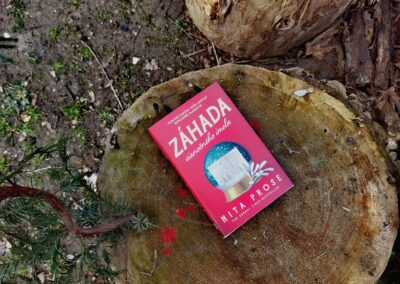 RECENZIA: Nita Prose – Záhada vianočného imela