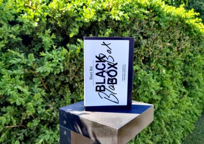 RECENZIA: Šiori Itó – Black Box