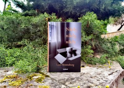 RECENZIA: Linn Strømsborg – Nikdy, nikdy, nikdy
