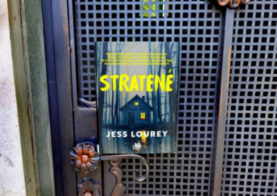 RECENZIA: Jess Lourey – Stratené