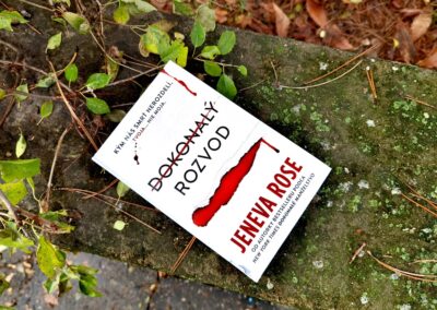 RECENZIA: Jeneva Rose – Dokonalý rozvod